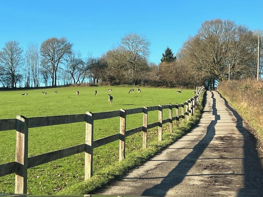 Arniss Farmhouse Fordingbridge Kültér fotó